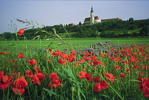 305px-Kirchehausleiten
