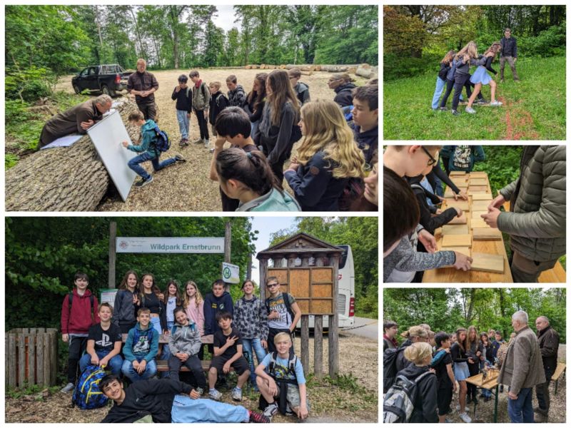 Waldjugendspiele 800