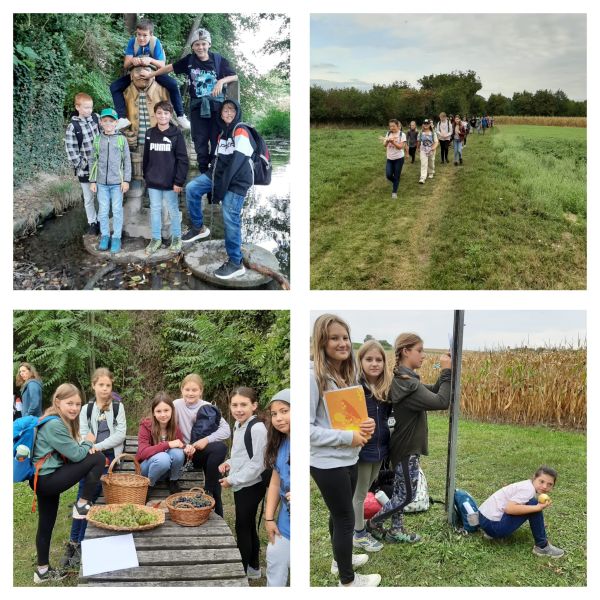 Wandertag 3 600